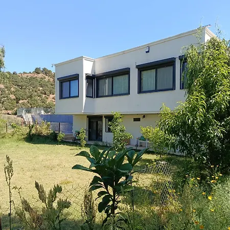 Therapy Igloo Bed and Breakfast Αλικαρνασσός