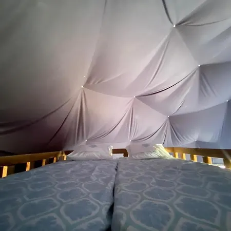 住宿加早餐酒店 Therapy Igloo 博德鲁姆