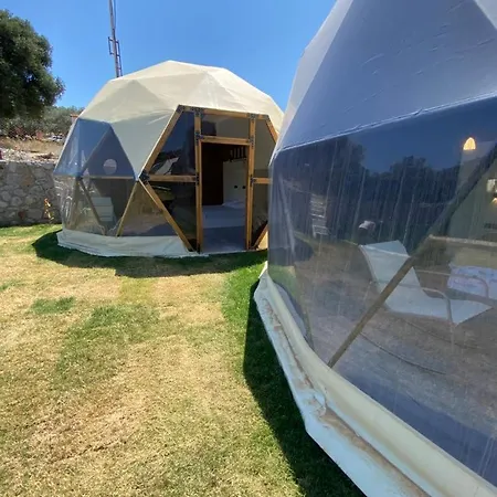 住宿加早餐酒店 Therapy Igloo 博德鲁姆